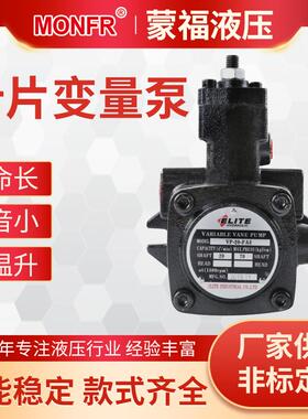 ELITE液压油泵VP-20液压站油泵VB1-20叶片变量泵