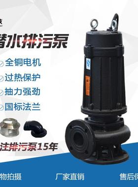 WQ潜水排污泵QW移动式无堵塞污水泵法兰口工业潜污泵供应