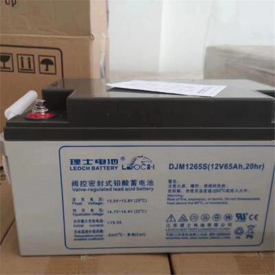 理士蓄电池DJM1265S12V6H电力系统太阳能机房配套纸箱非进口
