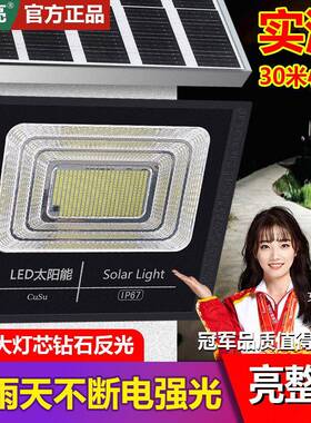 太阳能户外庭院路灯超亮农村家用感应大功率室内led防水照明1000