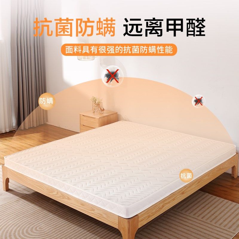 椰棕床垫定订制任意尺寸偏硬护腰脊乳胶天然租房专用榻榻米可折叠,住宅家具,椰棕床垫,淘宝优惠券,粉丝福利购,淘宝优惠卷