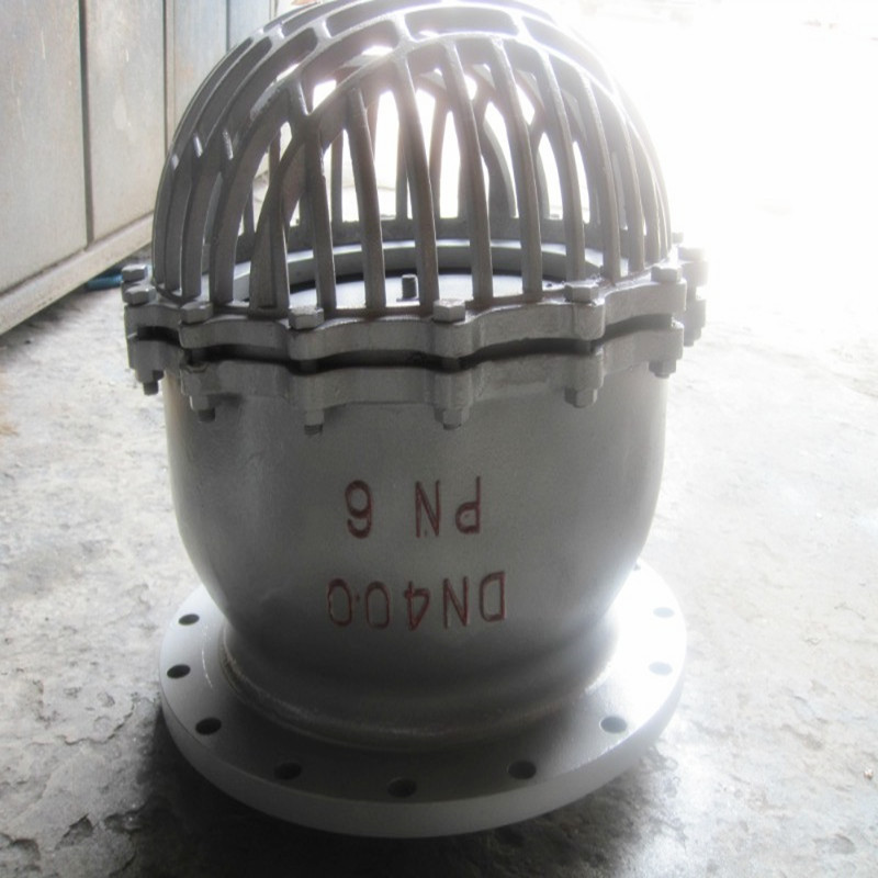 铸钢法兰底阀H42W-6P16P铸钢水泵吸水底阀DN100升降式井底阀DN50