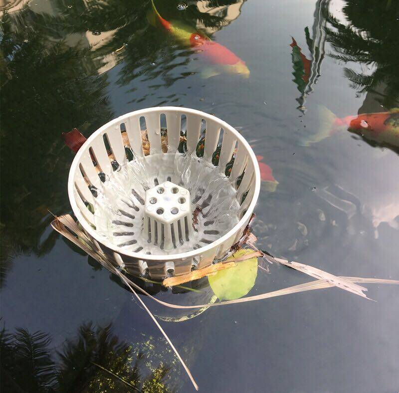 日胜过滤式水面排水口面吸阻挡饲料落叶防锦鲤鱼池过滤撇渣面水口,宠物/宠物食品及用品,过滤设备,淘宝优惠券,粉丝福利购,淘宝优惠卷