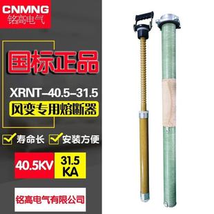 光伏全范围保护 40.5KV风变专用高压熔断器 31.5KA STR20 XRNT3A