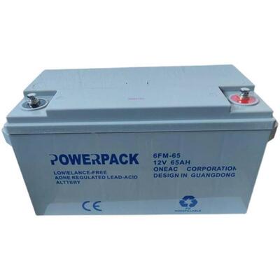 POWERPACK蓄电池6FM-65防油阻燃抗震型井下报警系统应急电灰色