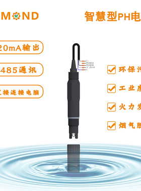 水质在线Pp传感器 Hh计 485和 -20ma探头4   酸度计 检测仪