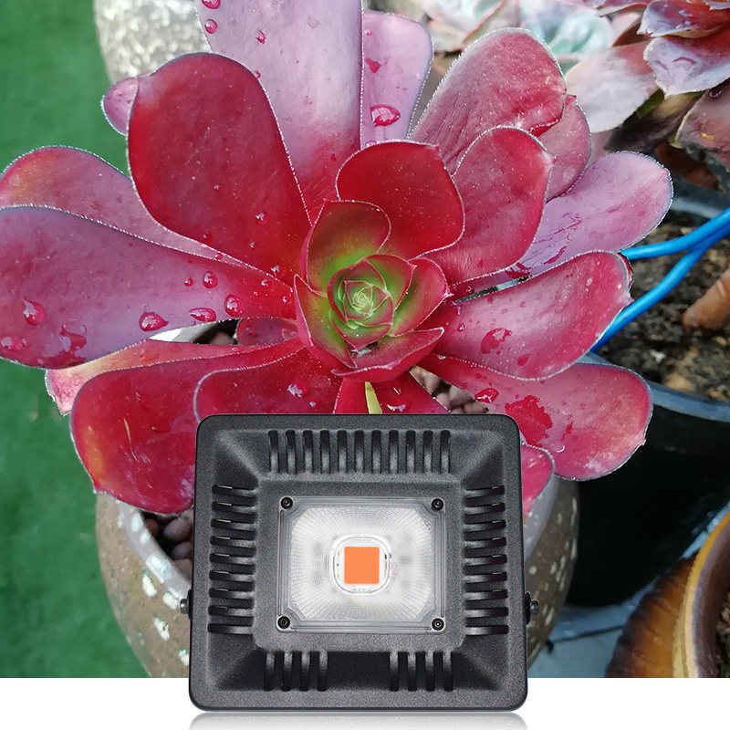 加瑞华月季补光灯室内家用多肉大棚蔬菜花卉火龙果植物生长灯阳光