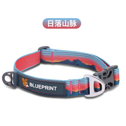 狗狗脖子项圈小型犬中大r型犬马犬德牧金毛泰迪雪纳瑞发斗狗牌项