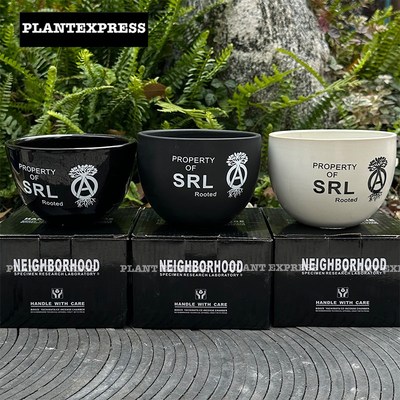 NBHD日式SRL块根陶瓷花盆潮流植物盆龙舌兰布纹球黑王Z丸绿植盆栽