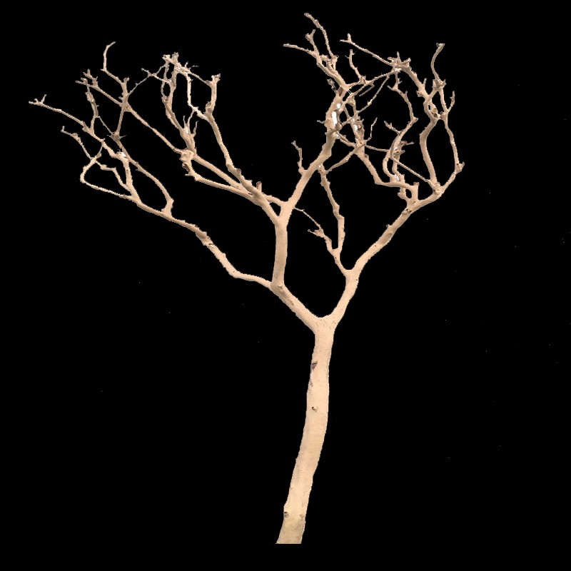 干树枝树装饰树干造型艺术造景去皮本色玄关壁挂枯枝酒.店婚庆摆