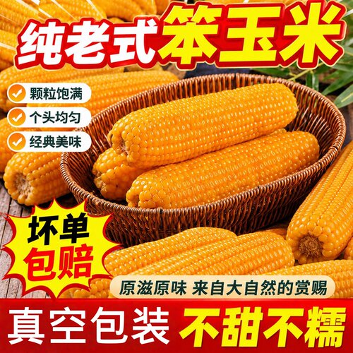 老式笨玉米真空即食山东新鲜苞米