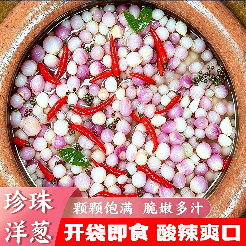 珍珠小洋葱新品泡菜泡小洋葱酸辣爽口配料干净正宗川味即食下饭菜