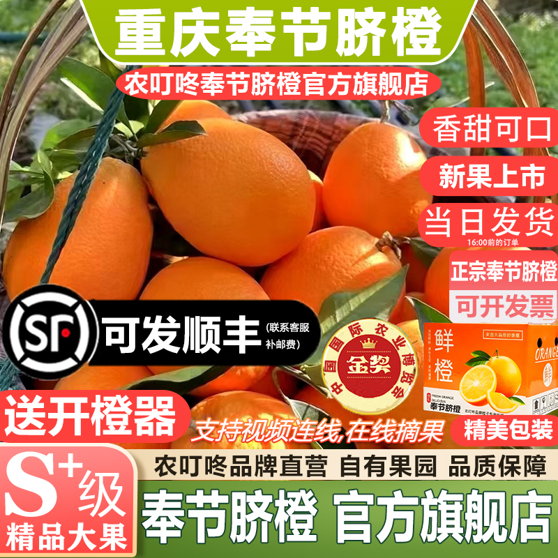 今日下单送开橙器  香甜可口 果大型正 送礼