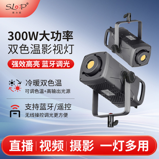 SLP-Pro300+补光灯双色温300瓦大功率补光灯直播灯室内拍照摄影灯影楼人像写真拍摄打光灯网红抖音主播服装