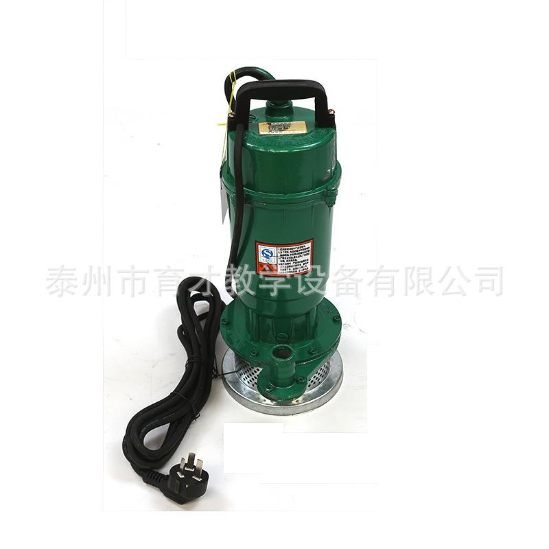 02011直联泵单相水泵物理实验用品教学仪器直联泵