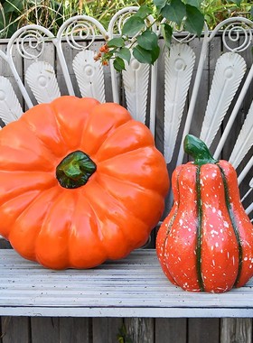 户外仿真南e瓜摆件花园庭院阳台装饰布置树脂工艺雕塑园艺杂货装