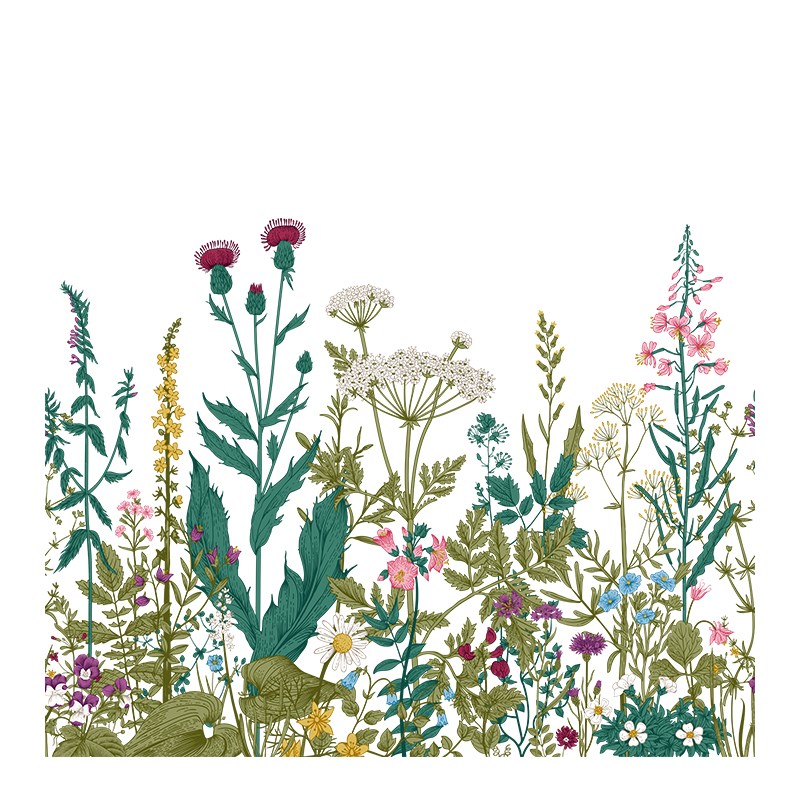 法式复古植物装饰厨房窗户客厅房C间飘窗布置浴室玻璃贴纸窗花贴