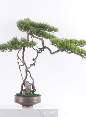 新中式日式龙须根盆景绿植仿真客厅玄关茶桌茶室民宿造景盆栽摆件