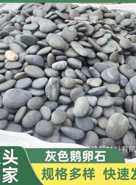 灰色鹅卵石垫层黑雨花石园林绿化鹅卵铺路散置水槽填沟石笼水池用