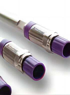 Themo赛默飞054995ProPacSCX-10HPLC10μm*4mm*250mm色谱柱