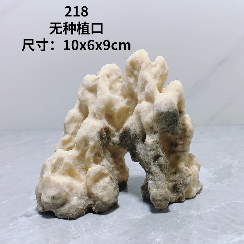 台湾吴定石e上水石吸水石金钱菖蒲盆附石捕虫堇盆鱼缸造景绿植摆