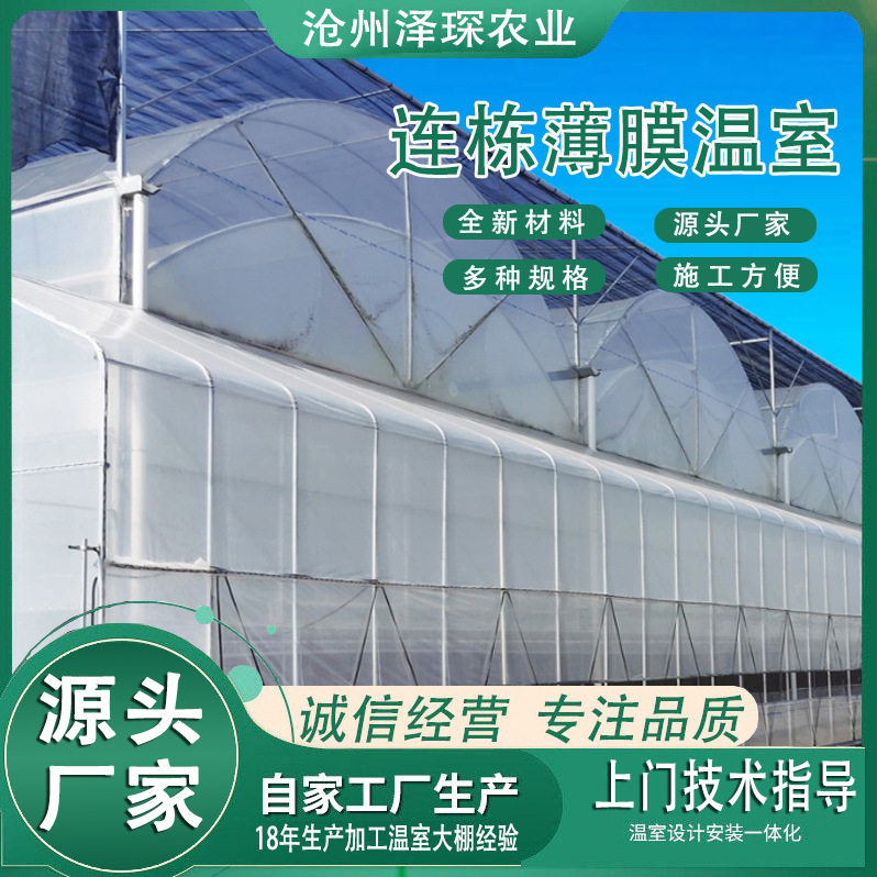 简易连体薄膜温室大棚番茄镀锌管蔬菜瓜果种植生态植物