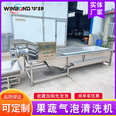 供应 气泡式辣椒清洗机 自动喷淋冲辣椒机器 连续洗菜机价格