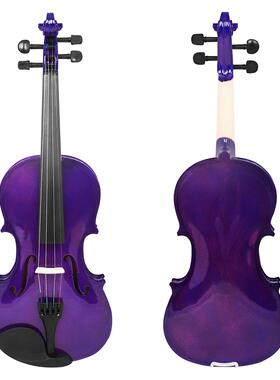 V-10实木小提琴4/4紫色普及小提琴儿童初学练习成人演奏提琴