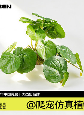 Cleen仿真绿植爬宠饲养箱黄龟缸专用生态缸雨林造景攀爬装饰植物