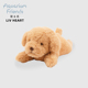 联名LIVHEART贵宾犬毛绒玩具吉娃娃狗狗玩偶公仔护手垫办公护腕