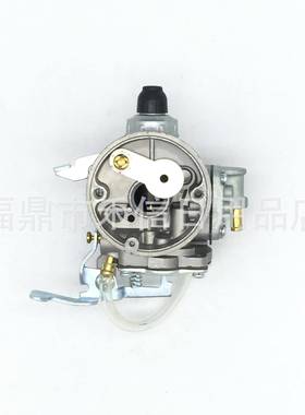 B45 B45LA B45INTL 草坪机 园林配件 割草机化油器