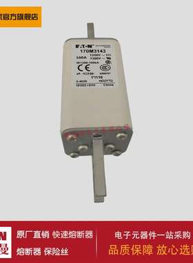 熔断器170M3140 170M3141 170M3142 170M3143 170M3144 170M3145