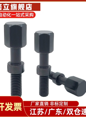 AJSTC4/5-10/15/20/25/30/35/40/45/50/55/60粗牙 调整螺栓 PAY21