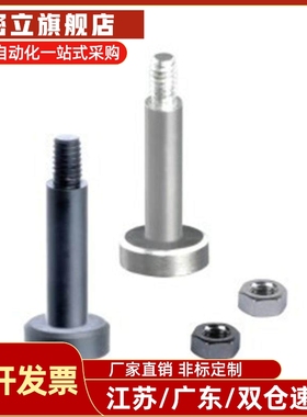 MIJ02-D10  MIJ03-D8 MIJ04-D12 MIJ05 MIJ11 MIJ21带肩铰链销