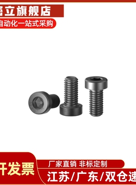 CBS5/6-5/6/8/10/12/16/20/25/30/35/40替代米斯米内六角低头螺丝