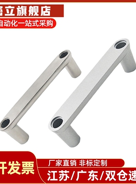 外装型带盖拉手 HHDG100/HHDGS100 铝合金 不锈钢型材板用把手