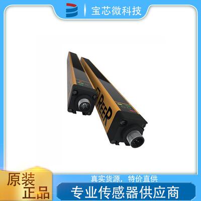 意大利REER睿翱 光幕 型号EOS2 453 X