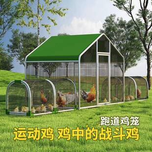 厂家直销新型养殖棚特大鸡笼子隧道鸡笼庭院跑道鸡笼养鸡户外全套