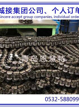 DBC东宝防锈滚子80-1 100-2 120-3单片飞轮链条工业流水线链条11