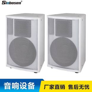厂价零售专业音响设备AQ-10单10寸二分频室内舞厅K歌无源音箱