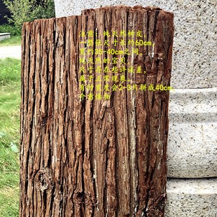 幼儿园森林系墙面装饰 杉树皮手工制作房屋造景防腐复古木板