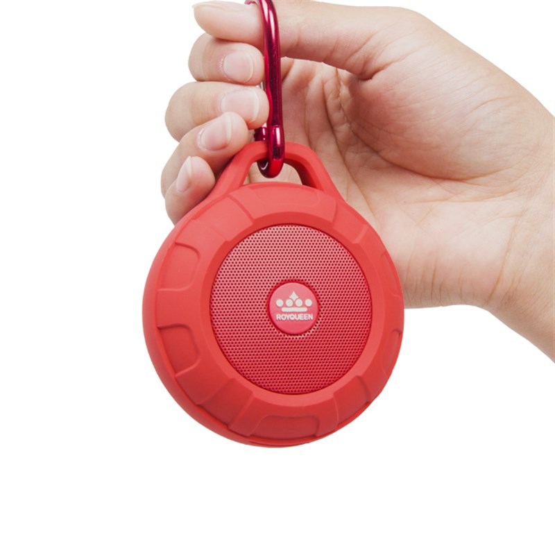 ROY/朗琴 T350蓝牙音响登山便携迷你音箱单车户外插卡收音机