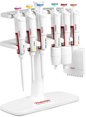 Thermo赛默飞 9420400 F型移液器支架 6支 适用单道 多道移液器