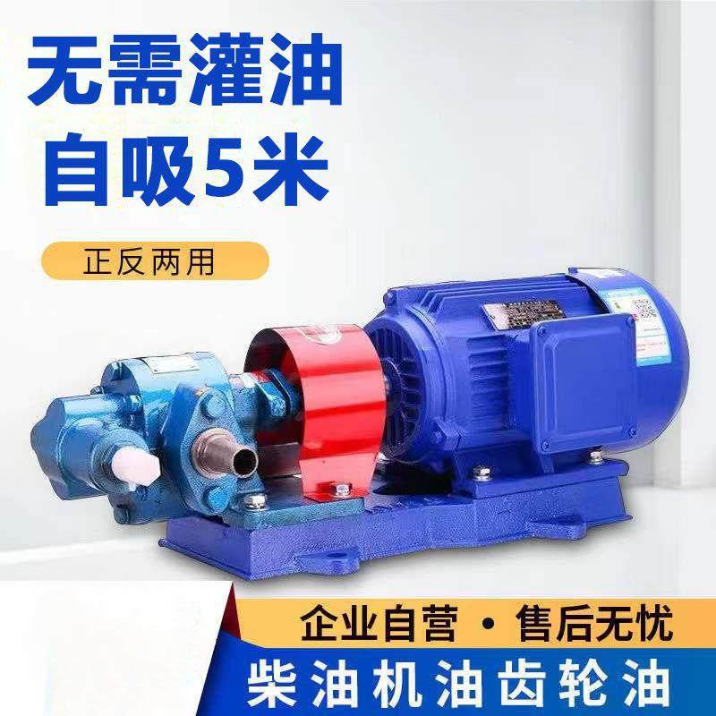齿轮油泵三相380V机油泵液压泵单相220V纯铜线带自吸齿轮泵厂家,标准件/零部件/工业耗材,液压泵,淘宝优惠券,粉丝福利购,淘宝优惠卷