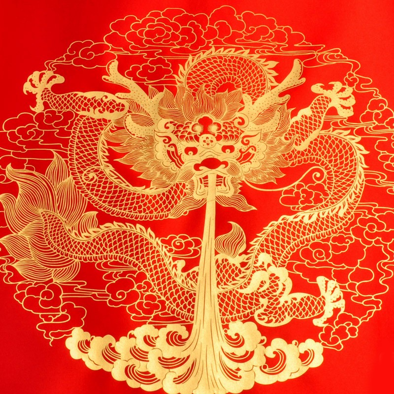 大幅泥金九龙图装饰画挂轴国粹剪纸年画民间手工品节日礼品