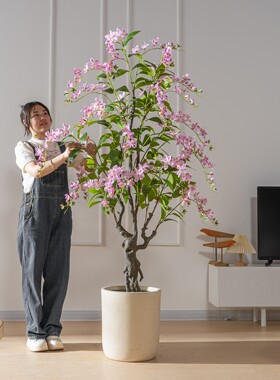 仿真绿植玉兰树室内客厅落地盆栽假花树大型仿生假植物装饰品摆件