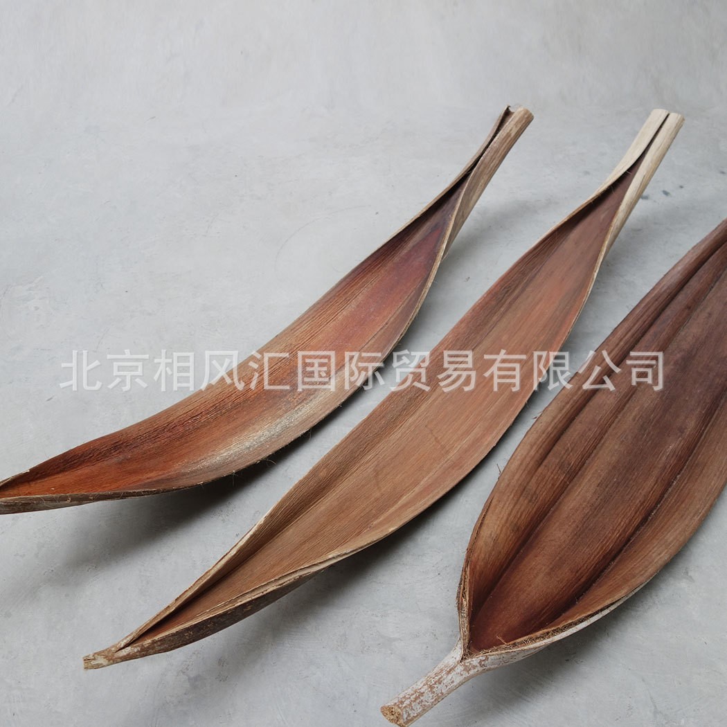 【可可叶(巨型)】进口干枝干草干叶干壳装饰插花家居摆设礼品