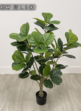 仿真绿植北欧风格仿真树带盆景观树仿真琴叶榕 客厅摆放绿色