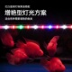 鱼缸灯led防水三色变色全光谱增艳灯小型水族箱照明灯赏鱼灯吸盘