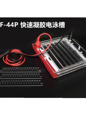 LF-CZ05A高通量垂直电泳槽SSR电泳槽LF-44P快速凝胶电泳槽